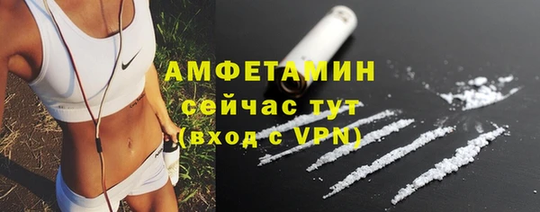 молекула духа Пересвет