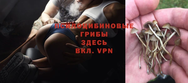 прущая мука Осинники