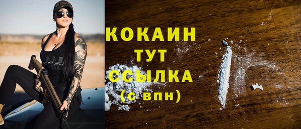 молекула духа Пересвет