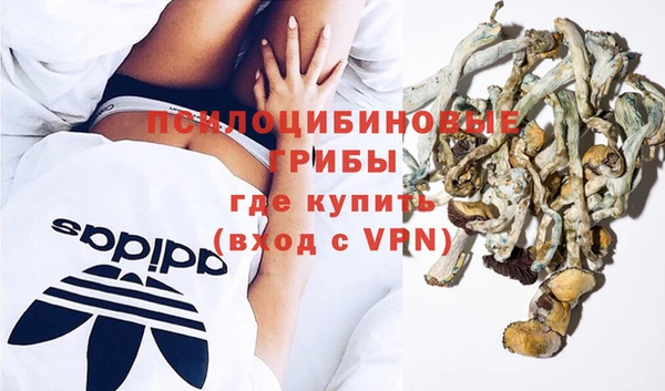 молекула духа Пересвет