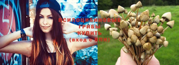 эйфоретик Фёдоровский