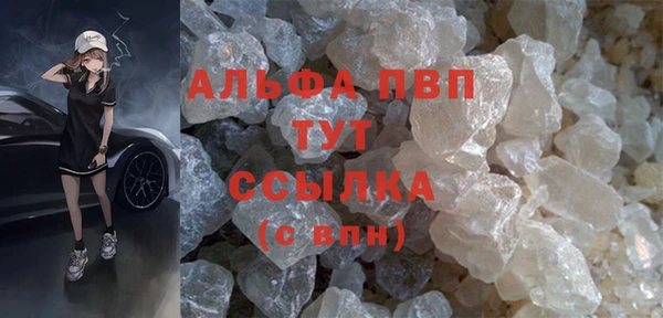 молекула духа Пересвет