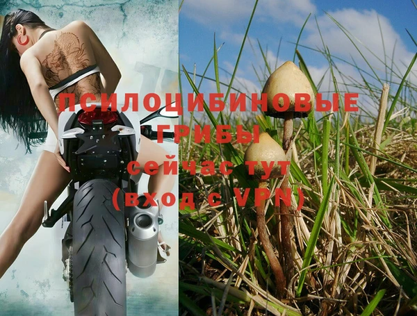 гидропоника Остров